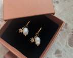 Stella Hoops